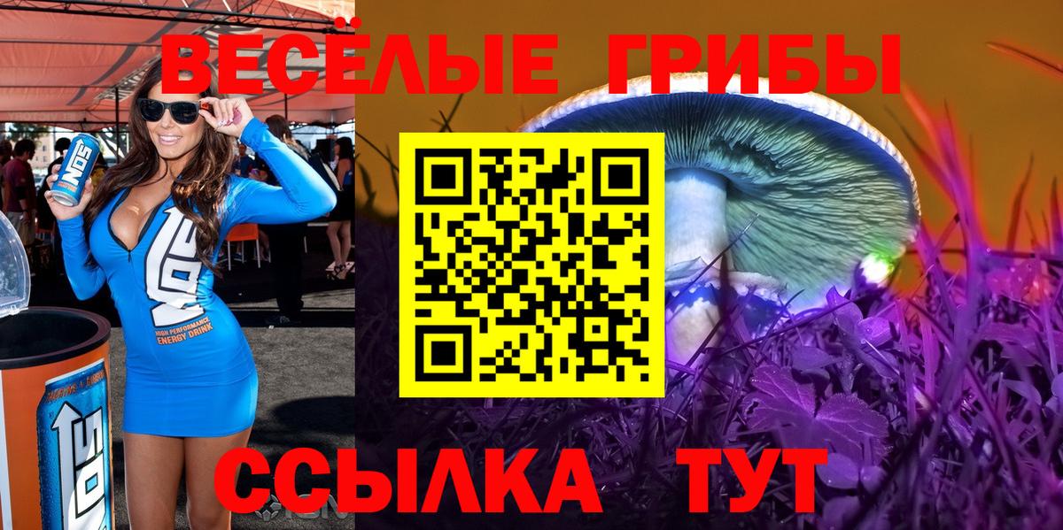 Галлюциногенные грибы мухоморы Ставрополь