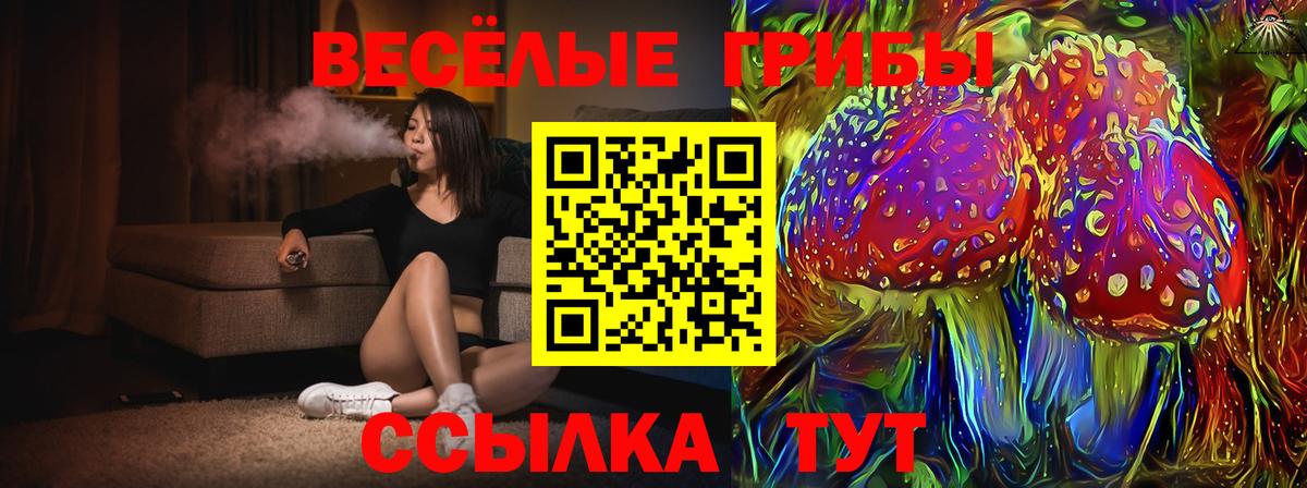 Ставрополь  Галлюциногенные грибы прущие грибы  Вход с VPN 